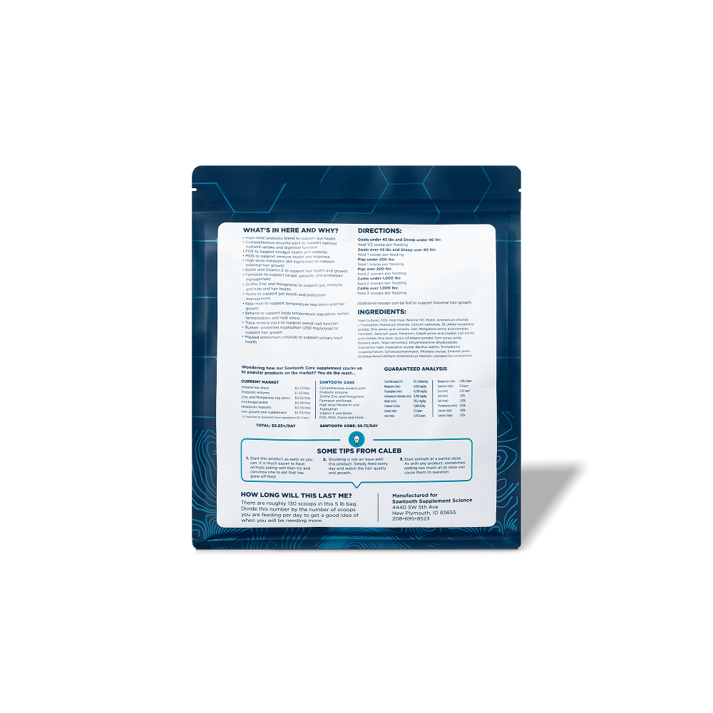 Sawtooth Core